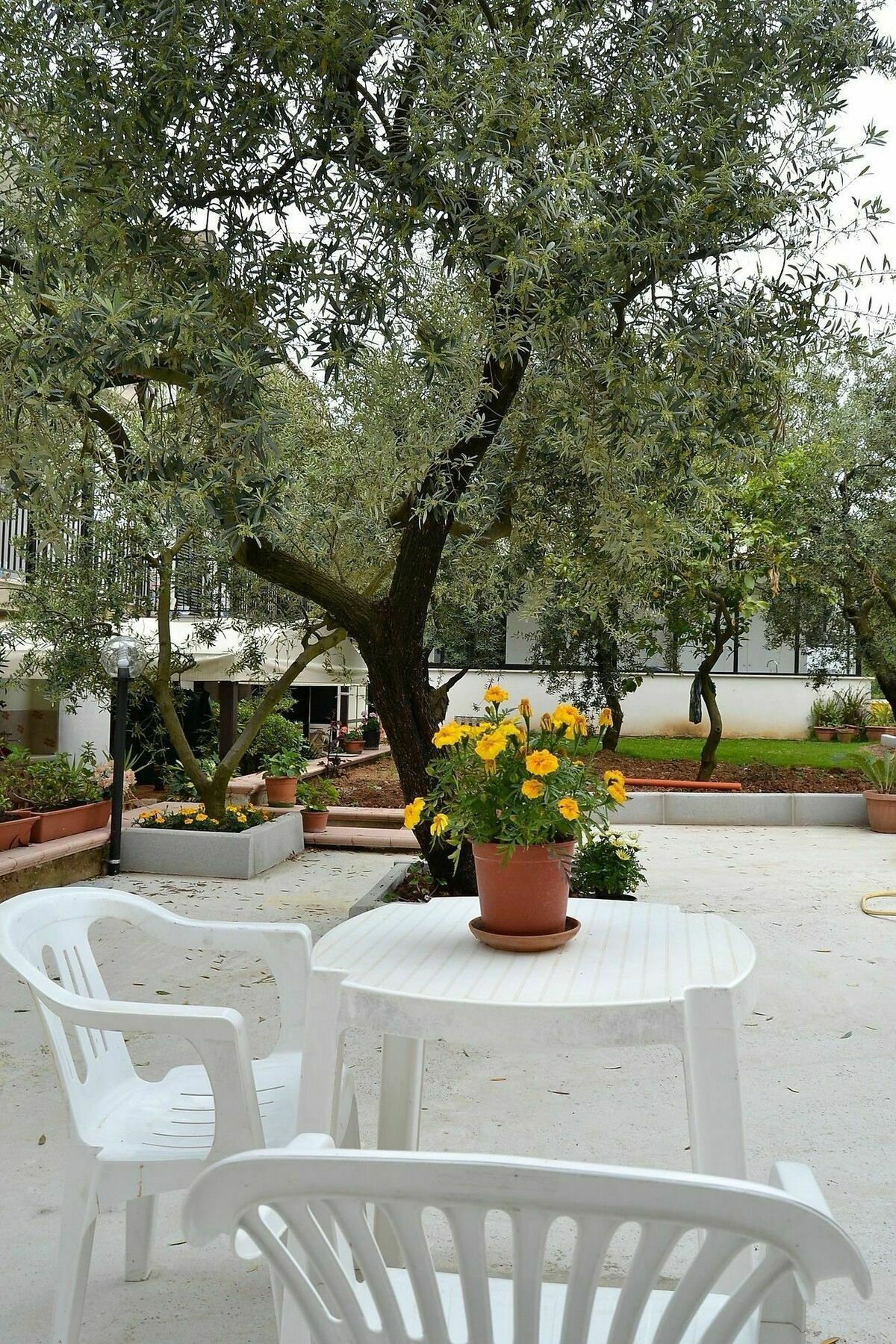 Il Girasole Formia Guesthouse Rooms Eksteriør bilde