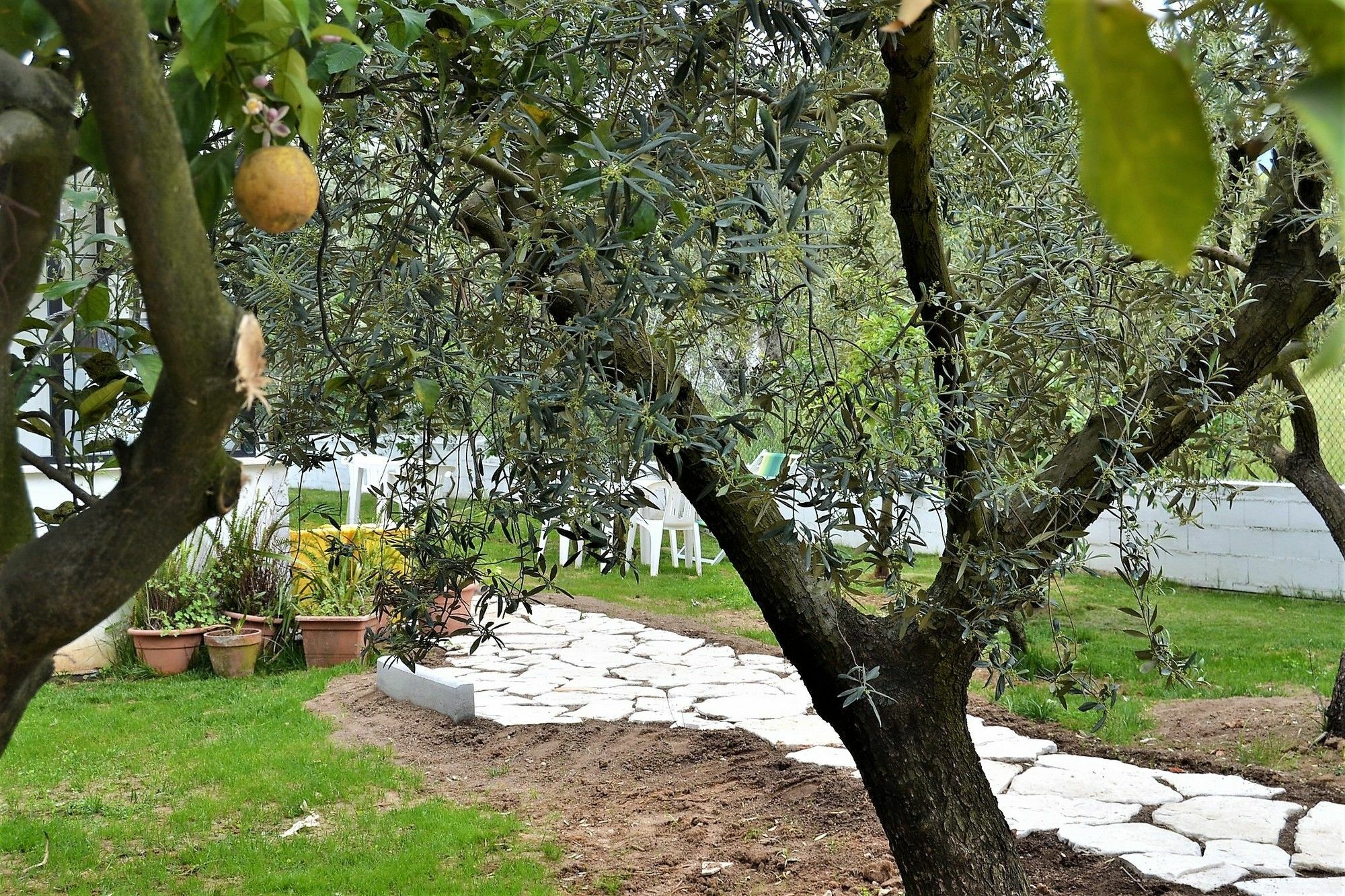 Il Girasole Formia Guesthouse Rooms Eksteriør bilde
